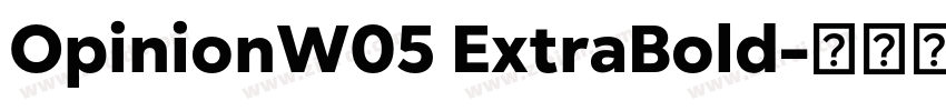 OpinionW05 ExtraBold字体转换 OpinionW05 ExtraBold字体转换